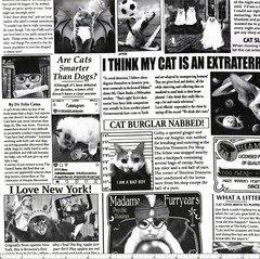 Timeless Treasures – Quirky Cats – Cat Newspaper – Newsprint