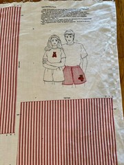 Cranston VIP Vintage Pattern Panel – Teddy Bear Boxer Shorts + Appliqué