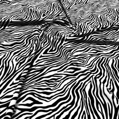 Animal Print Zebra 4 way Stretch Spandex Fabric 60″ wide by Yard for Swimwear