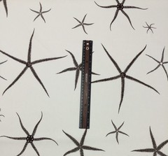LACEFIELD DESIGNS SEA STAR COCOA BROWN ESPRESSO STARFISH COTTON FABRIC BTY 54″W