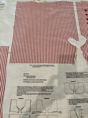 Cranston VIP Vintage Pattern Panel – Teddy Bear Boxer Shorts + Appliqué