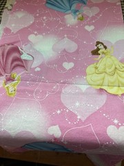 Disney Princesses 18″ x 17″ Cotton Fabric Sewing Crafting One Piece