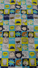 Peanuts Worldwide 2021 Flannel Fabric Checks Comic Grid 1 yd x 44″Snoopy & Gang