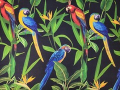 Parrots in Jungle 54″ Wide P Kaufmann Cotton / Rayon Slub Birds on Black