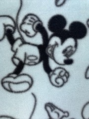 Blizzard Fleece Fabric Mickey And Minnie Mouse By The Yard