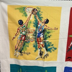 Sports Collection Fabric Panel Squares Basketball Soccer Cycling Baseball