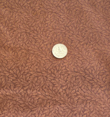 1/2 Yd Valencia Fabric Jinny Beyer RJR Fashion Brown Leaf Flower Design