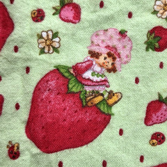 VTG Strawberry Shortcake Those Characters From Cleveland 2003 Flannel Green BTY