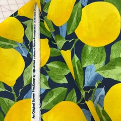 Richloom Solarium Outdoor Fabric Lemons Citrus in Sapphire BTY
