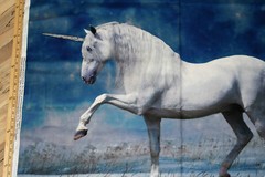 Magestic Unicorn At Night Digital Print Cotton Fabric Panel 1 Yard #AL39970C1