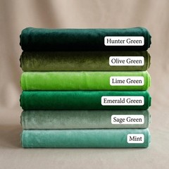 Stretch Velvet Fabric Green 4 Way Polyester Spandex Soft Velour 59 Inch