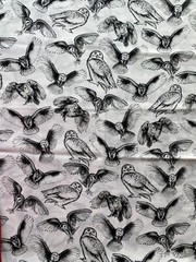 BROTHER SISTER FABRIC~Blk White~SKETCHED OWLS~Snowy~Great Horned~Barn~Screech~