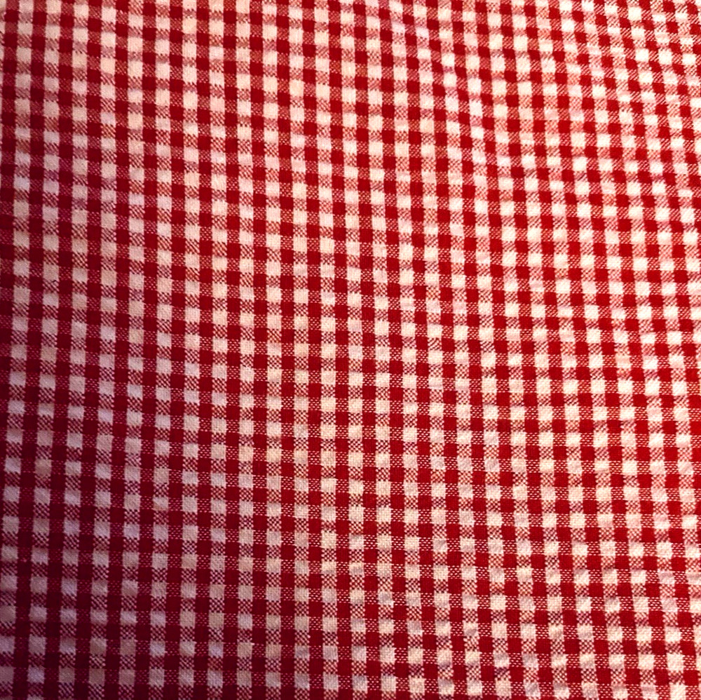 VTG Red & White Gingham Checks Seersucker Pucker Cotton 22″x21″