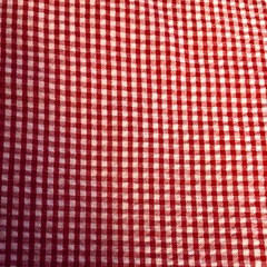 VTG Red & White Gingham Checks Seersucker Pucker Cotton 22″x21″