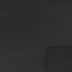 Chaparral Boat 1/8 Foam Back Vinyl 13573117 | Black 54 Inch (YD)