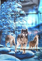 Bolt 13 Panels Northern Lights Wolf Panel Size 36 X 44 Inches Windham Fabric