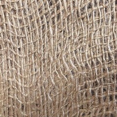 Natural Erosion Control Jute Netting Soil Saver Mesh Blanket Burlap Netting