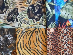 I SPY Safari JUNGLE Animal Kingdom Fat/Long Quarter 1/2 Yard Quilt Fabric Bundle