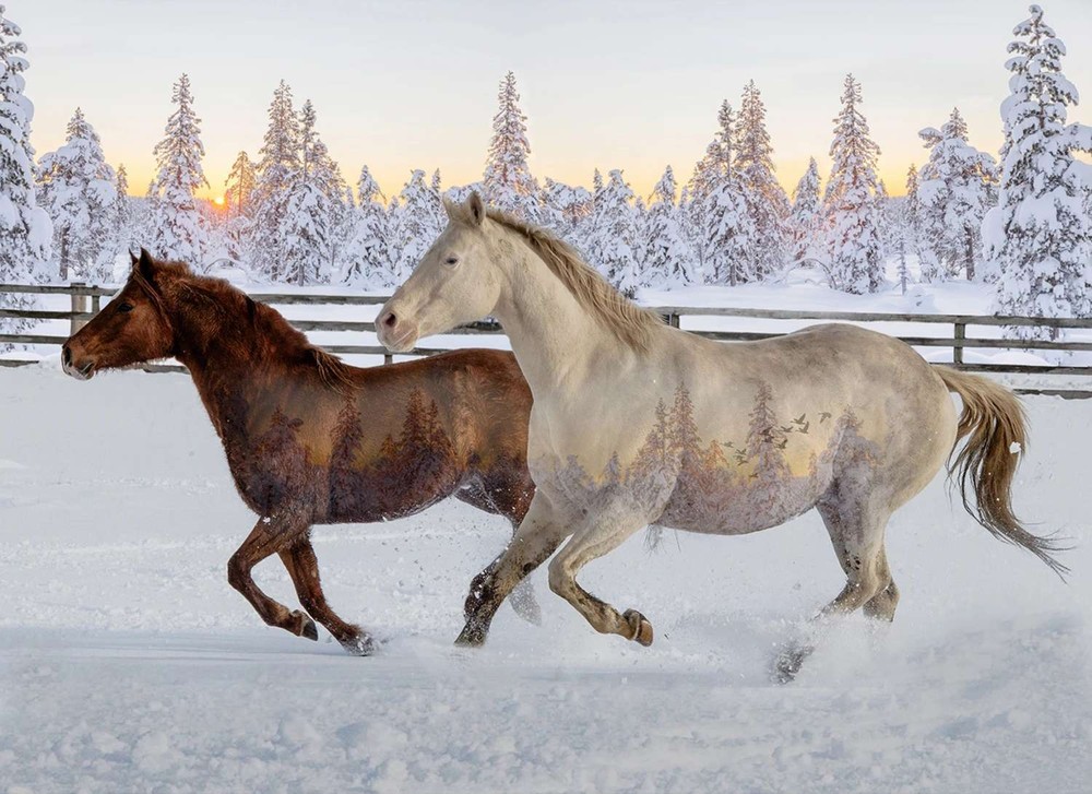 Hoffman – Call Of The Wild – 31.5″ Mustangs Horse Panel – Sunset