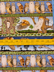 Owl border Makower UK realistic many owl species great colors 32″l x 25″ w +