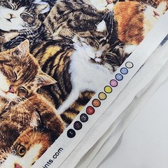 Sewing Quilt Craft Fabric Tabby Cats Sew Curious Anne Mortimer Print 2 yds