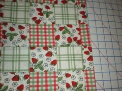 Strawberries Flowers Checkered Blocks Lauren Lee Jo-Ann Fabrics 1.44 yards