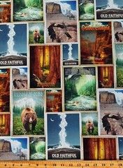 Cotton National Parks Posters Postcards Travel Fabric Print by the Yard D472.46