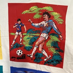 Sports Collection Fabric Panel Squares Basketball Soccer Cycling Baseball