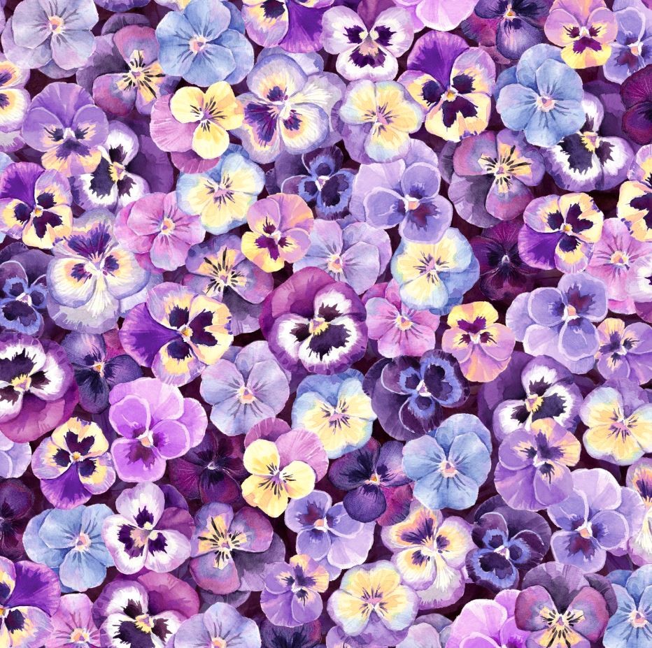HOFFMAN – Flower Shoppe – Spectrum Digital – Purple 1/4yd
