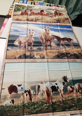 23×44 Panel KIT Quilt Wall Hanging Pillow Mustang horse Meadows 100 % cotton