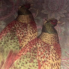 Ralph Lauren Hunting Manor Paisley, Italian Cotton Velvet, BTY, Sable