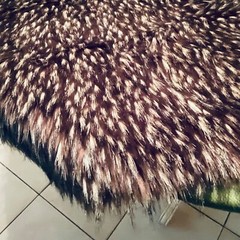 Lucci Yarns New FauxFur Designer 67 W X 34L Unit of 1 RealisticLuxuryBrown/Cream