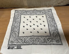 Vintage Paris Accessories White Cotton Bandana 19″ x 19″ RN 13960