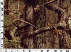 Bark Shadows Woodland Camo Forest Trees Quilting Sewing Fabric by Yard #516 DP