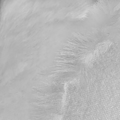 Zahra WHITE 0.75 Inch Short Pile Soft Faux Fur Fabric for Fursuit, Cosplay Cost