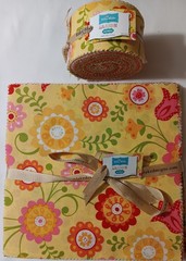 Riley Blake Designs Hello Sunshine Lori Whitlock 2- 10″ stackers, 1 Rolie Polie