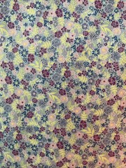 6 Yard Cut Garden Delights II for In The Beginning Fabrics Quilting Cotton