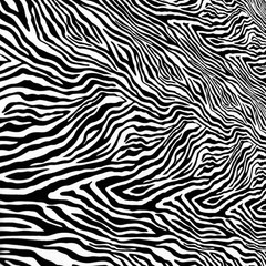 Animal Print Zebra 4 way Stretch Spandex Fabric 60″ wide by Yard for Swimwear