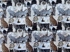 TIMELESS TREASURES FABRIC~Hi Fashion~CATS~TABBIES~CALICO~TORTOISE SHELL~1998~