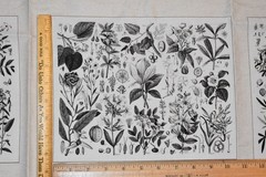 Andover Fabrics Cotton Fabric Panel Floral Botanical Quilt Blocks HTF OOP