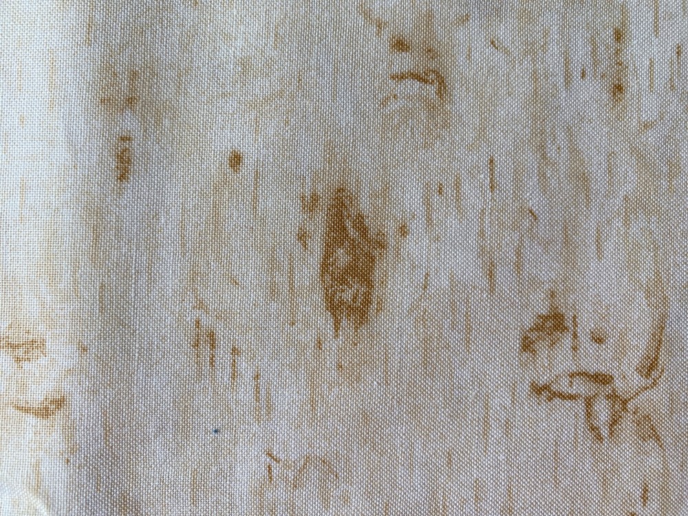 RJR FABRIC 2008~Thimbleberries~LODGE LAKESID~Birch Woodgrain~TREE BARK~Cream Tan