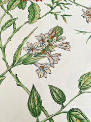 Thibaut Copa Cabana Floral & Birds Cotton Sateen White Fabric Rare Retired BTY