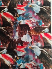 Wild Wings & Janene Grende Bald Eagle America Fabric 3 Yards 108″ X 42″