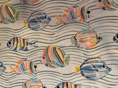 Cotton Fabric, Multi colored Fish, Fat Eighth, washable, white 8.5″ x 21″