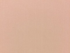 BALLARD DESIGN SUZANNE KASLER DUCK BLUSH PINK MULTIUSE FABRIC 1.5 YARDS 57″ W