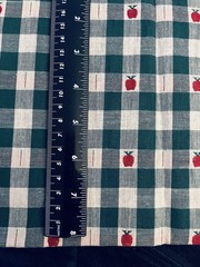 VTG Woven Homespun Country Green & Tan Plaid with Apples Hearts 22″X14″