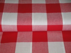 Dunroven House 3 Inch Farmhouse Check Red White Woven Cotton Homespun Fabric