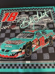 Nascar Bobby Labonte #18 Interstate Batteries Cotton Fabric 6 Design Panels