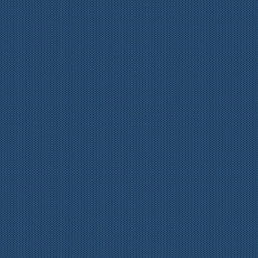 Poparazzi Basics 805 Navy Riley Blake