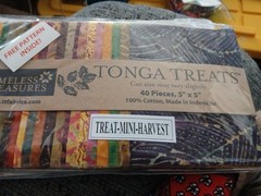 Tonga Treats Timeless Treasures 5×5- Pattern Inside Table Runner Migrating Geese